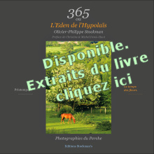  Disponible, cliquez pour la d�monstration.